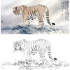 横幅工笔动物白描底稿-老虎-王爱民《独立为君》-多种白描尺寸可选-WH02 商品缩略图0