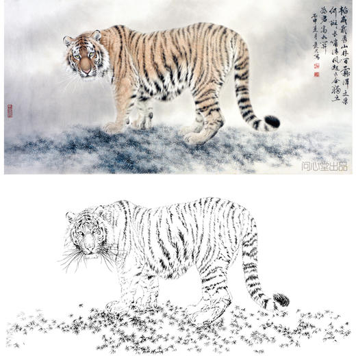 横幅工笔动物白描底稿-老虎-王爱民《独立为君》-多种白描尺寸可选-WH02 商品图0