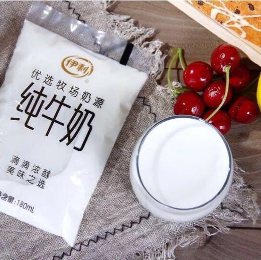 伊利纯牛奶透明袋装网红全脂纯牛奶 高钙早餐牛奶 商品图0