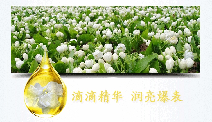 茉莉精油乳玛格丽特杜拉斯镇定舒缓修护脸红抗过敏皮肤补水保湿干燥