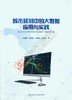 城市规划中的大数据应用与实践 商品缩略图0