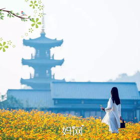 【妈网春游】之拈花湾一日游；04/29 04/30 虽有拈花名 但无拈花意 一花一世界 一叶一菩提 参禅尘世里 回眸几众生