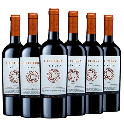 智利 佳特利庄园臻选卡门红葡萄酒750ml 商品图0
