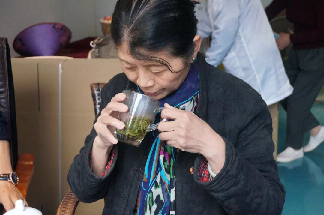 西湖龙井茶专家,教授级高工,国家一级评茶师沈红,茶客们肯定都熟悉了