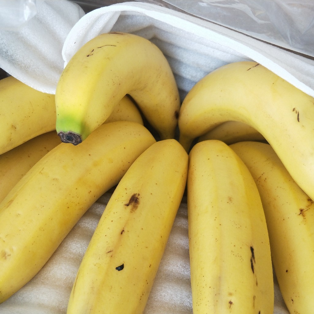 越南进口香蕉