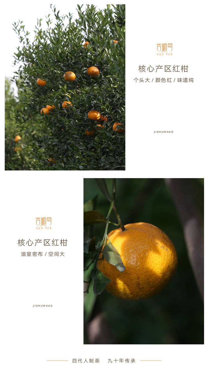 秋季养生茶 吉顺号新会天马大红柑普洱熟茶 一品柑普茶约 250克/罐