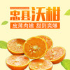 【科技特派员邓烈推荐】忠县沃柑整箱10斤现摘现发新鲜多汁爆甜 今年加量不加价 重庆四川顺丰包邮 商品缩略图0