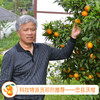 【科技特派员邓烈推荐】忠县沃柑整箱10斤现摘现发新鲜多汁爆甜 今年加量不加价 重庆四川顺丰包邮 商品缩略图1