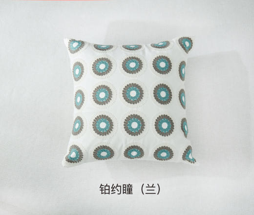 刺绣抱枕 商品图4