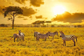 kenya & Tanzania | 肯坦定制 9-10月
