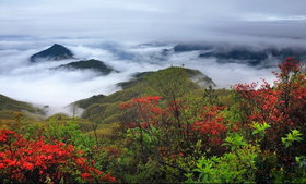 （永久下架）【预付】五一玩转“山江海”之山——福建松溪