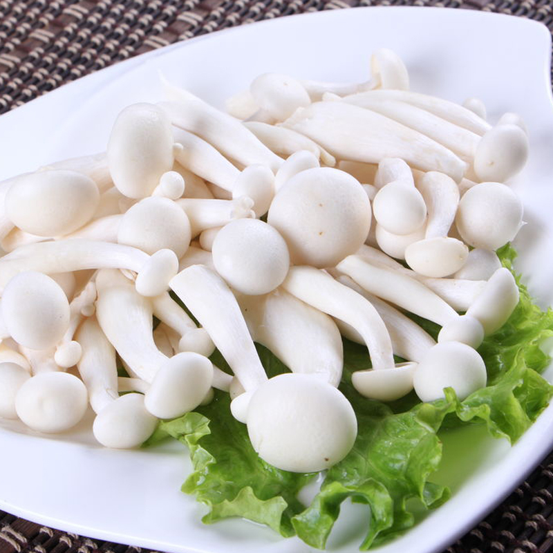 白玉菇 500g