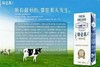 【奶品】蒙牛特仑苏纯牛奶250ml*12/箱 商品缩略图1