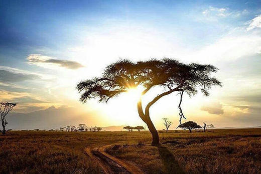 Tanzania  ｜  坦桑尼亚7天6晚 清新雨季&震撼超低价 商品图0