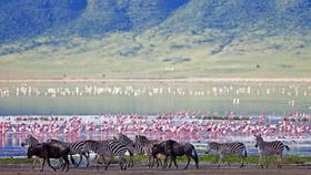 Tanzania  |  坦桑尼亚“云中孤旅”春节私定