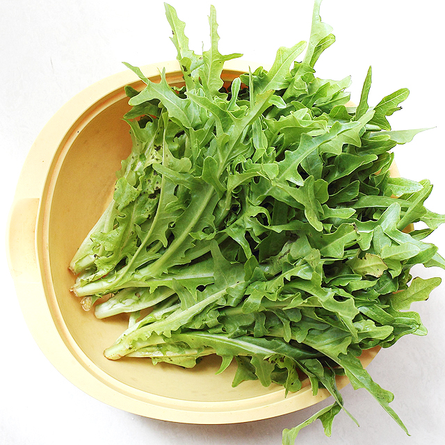 【绿色标准】苦麦菜 苦菜 约400克/份