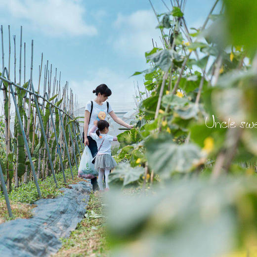 五一活动套餐（二期4.30-5.1） 商品图0