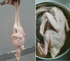 野生洪湖绿头鸭 商品缩略图2
