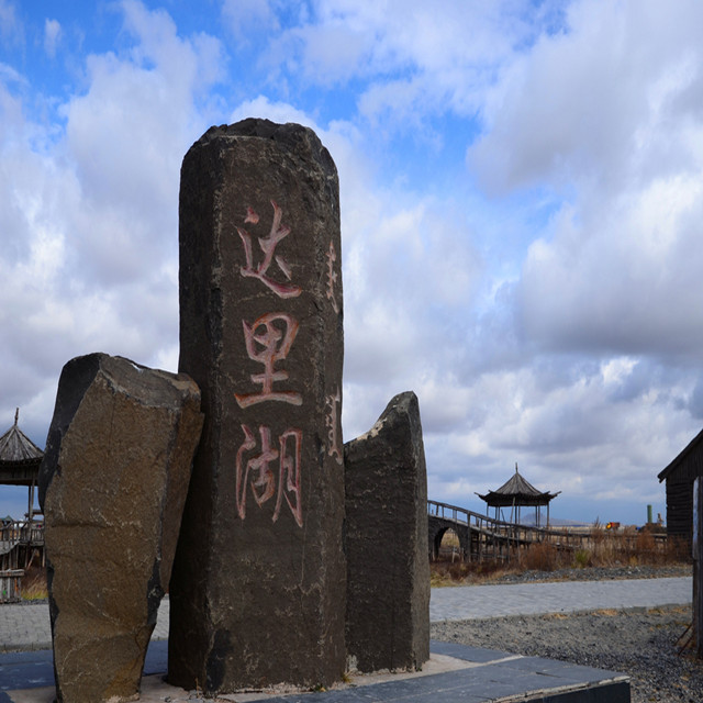 五一3日【达里湖】天鹅大迁徙 华子鱼回溯 玉龙沙湖 全年仅此一次