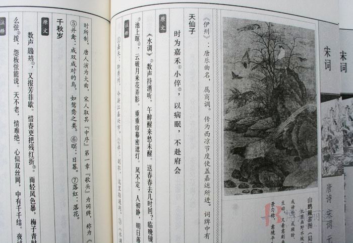 原文译文注释 线装本古诗词鉴赏 插图本 全1函6册)古诗词赏析线装竖排