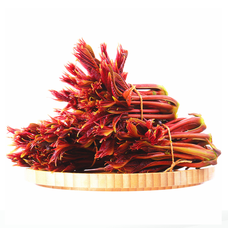 红芽香椿100g