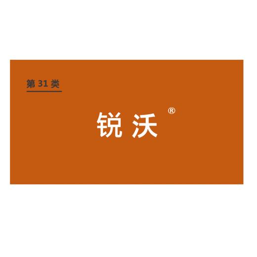 商标-锐沃 商品图0