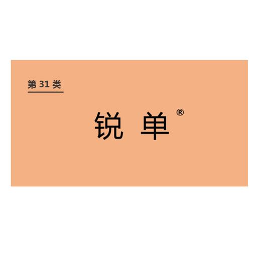 商标-锐单 商品图0