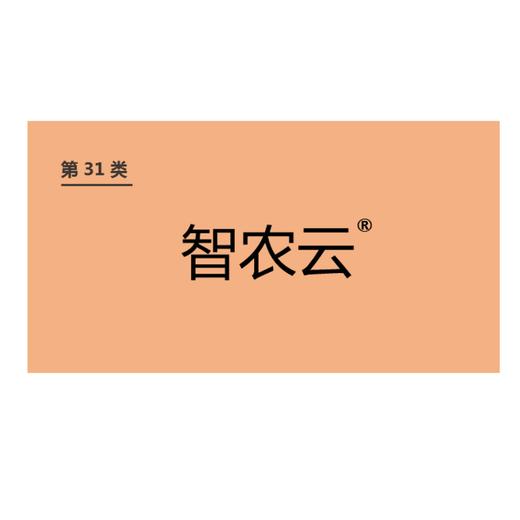 商标-智种云 商品图0