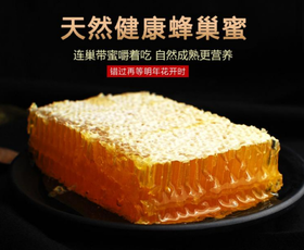 新疆伊犁巢蜜纯天然野生百花蜜蜂窝 460g