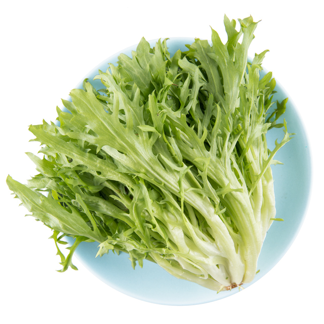 密云苦菊250g