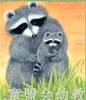 信谊绘本（精） 魔法亲亲 明天出版社 正版 3-6周岁 商品缩略图1