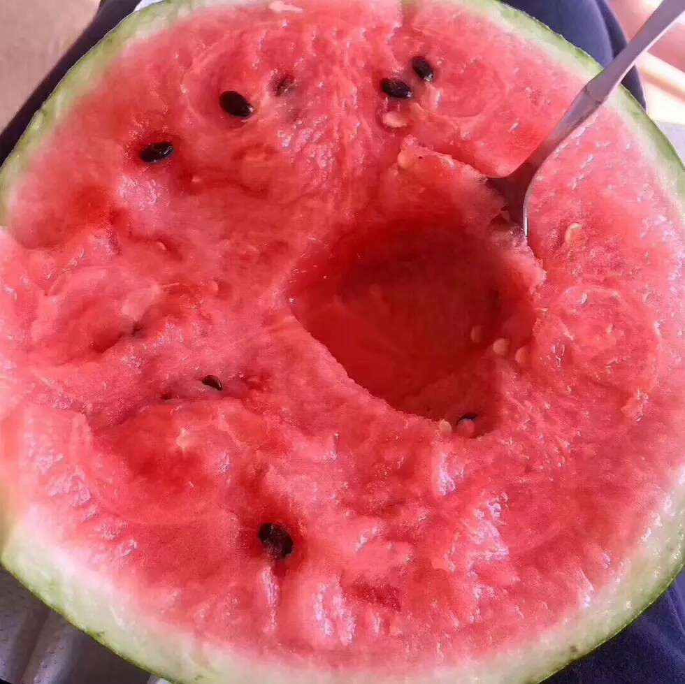 黑皮西瓜