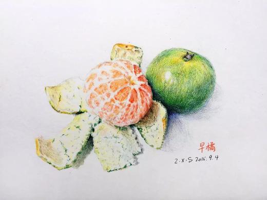 大橘子 商品图2