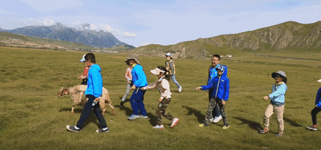 牧羊人:古有马可波罗在此醉心,今有祁连山下好牧场,祁连山被誉为东方