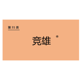 商标-竞雄