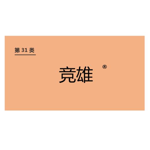 商标-竞雄 商品图0