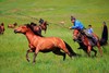 【一心向北·草原天堂】漠河北极村、走进根河使鹿部落、呼伦贝尔大草原双飞8日深度体验游 商品缩略图7