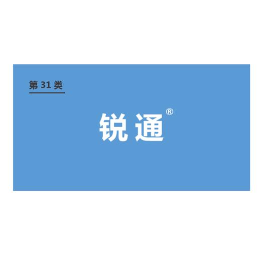 商标-锐通 商品图0