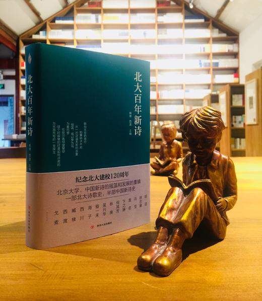 《北大百年新诗》 商品图0