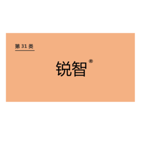 商标-锐智