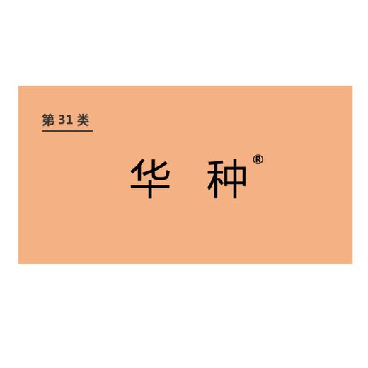商标-华种 商品图0