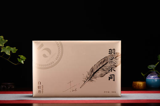 LYB 2012白牡丹 500g 商品图7