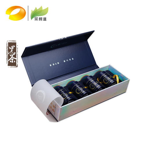 黑茶 渠江薄片茶业 奉家渠江薄片-蓝色星河 250g 商品图0