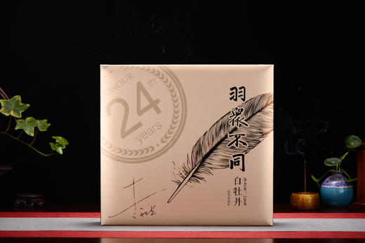 LYB 2015白牡丹240g 商品图3