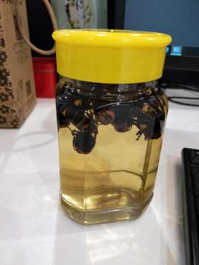 马蜂酒