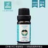 呼吸系统养护按摩油 10ml试用装 商品缩略图0