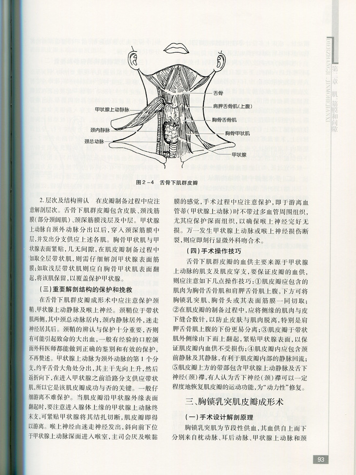 口腔颌面外科临床解剖学 作者:王兴 山科出版