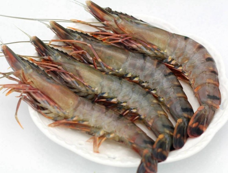 越南 黑虎虾 30\/40\/GUOLIN品牌 400g