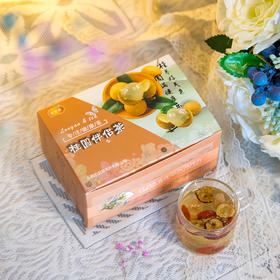 桂圆伴侣茶 组合养生茶  桂圆红枣片枸杞茶