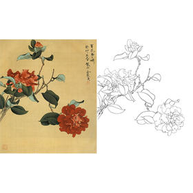 俞致贞工笔花鸟白描底稿-山茶花-斗方小品册页-JV16